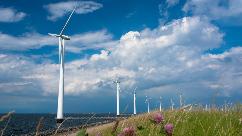 Wind farm