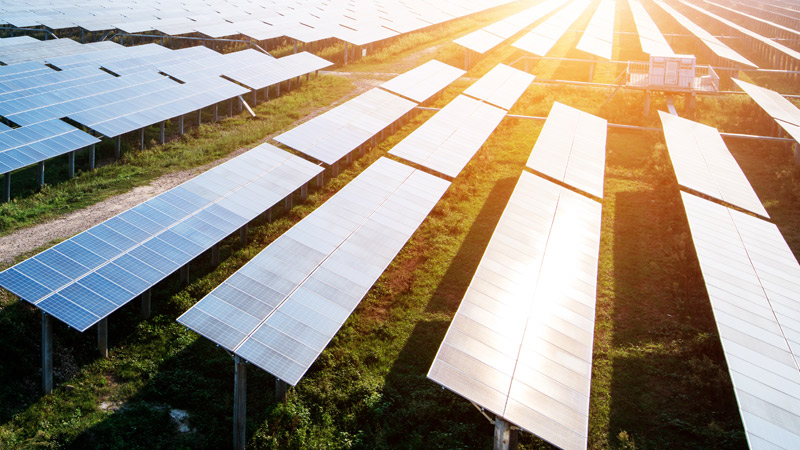 Solar farm